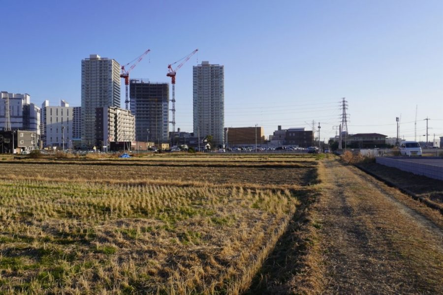 リーフィアタワー海老名クロノスコート